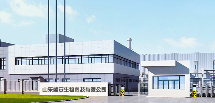 企業(yè)風(fēng)采